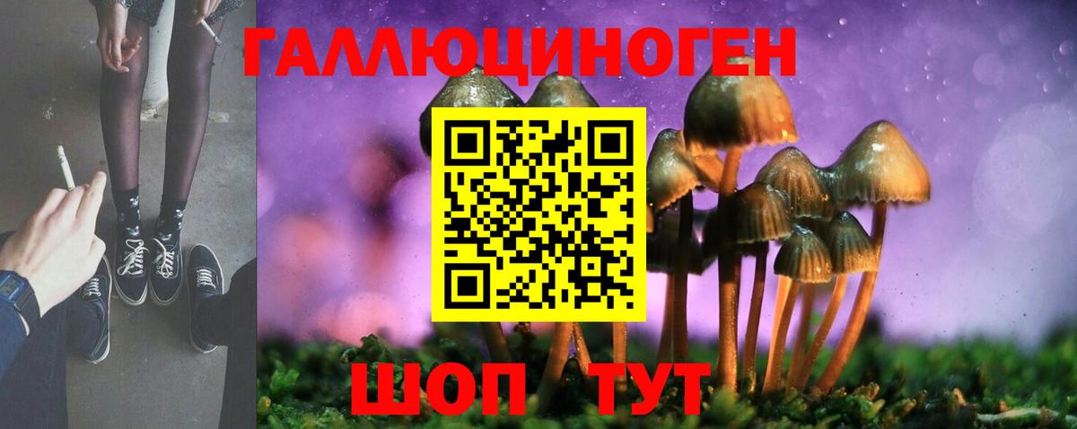 дарнет шоп  Псилоцибиновые грибы ЛСД  Вход с VPN  Бийск  Псилоцибиновые грибы прущие грибы 